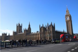 IMG_8914