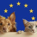 یورپی یونین ،پالتو جانوروں کے تحفظ کے لئےایک مشترکہ قانونی فریم ورک منظور کرنے جارہی ہے