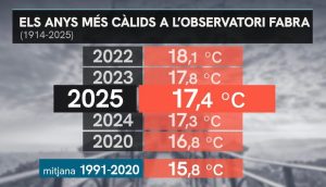 WhatsApp Image 2026-01-01 at 00.17.38