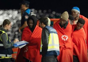 WhatsApp Image 2026-01-28 at 00.49.07