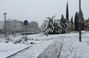 fd2b0861-2b85-4947-94f5-fa85782f8646