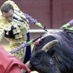 مالاگا: بیل کے حملے میں ریٹائرڈ ماتادور ریکاردو اورتیز ہلاک